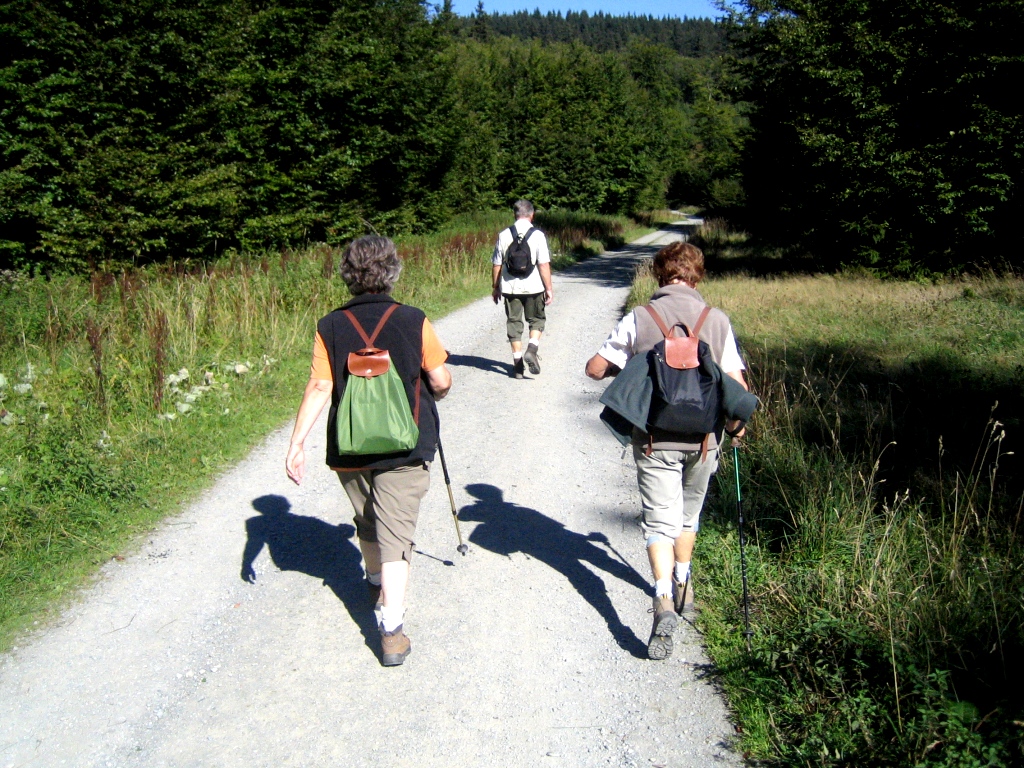 Über 200km Wanderwege rund um Liesen laden zu ausgedehnten Touren ein.